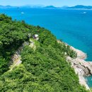 치유의숲 이미지