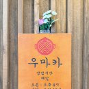 WR(인천광역시 서구)-[이음4로]-상-2 | 인천 검단신도시 아라동 맛집 우마카