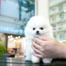 몽몽이하우스 인천연수점 이미지