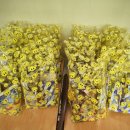 성지여자중학교 이미지