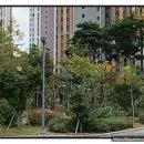 국공립이지더원2차어린이집 네이버블로그
