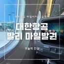 634 | 대한항공 발리 마일발권과 글루텐프리 기내식 신청 후기 :: 인천국제공항 제2여객터미널 KE633, KE634