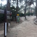 암남공원 입구 이미지