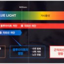 다비치안경수원화서점 이미지