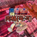 매일정육점 | 포항 남구 정육점 | 육격 캠핑 글램핑 고기 준비 후기 여기서 끝