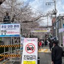 안전렌탈 이미지