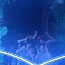 주문진희망농장 | [양양] 커플여행 1일차 / 주문진수산시장, 하조대해수욕장, 더앤리조트 그리고 와이비자