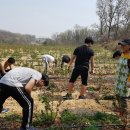 우식농장 이미지