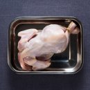 광주푸드시스템(주) 이미지