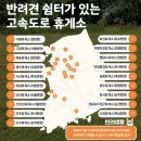 코코 반려견샵 이미지