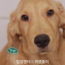 로빈 뉴스1