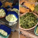 마도농산물재래시장 이미지