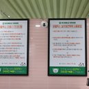 버블독스 이미지