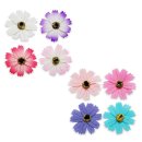 코스모스디자인 이미지