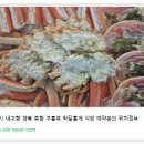 구룡포식당 이미지