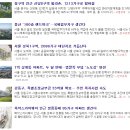 블루오션디앤씨