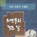 소맷부리 젖는 날 / 초연 김은자 수필집 (전자책) 이미지