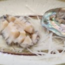 활어장군 이미지