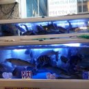 팔팔횟집 이미지