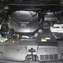 월드카닥터하우스 이미지