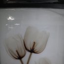 평택-W-060 이미지