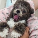 멍동댕유치원 이미지