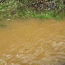 비호농장 이미지