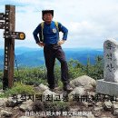 해남군-04 Daum카페
