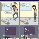 강국수 - 김해시 | 강국수