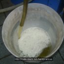 오토훼밀리카 이미지