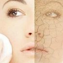 인춘빌딩 이미지