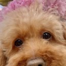 오렌지25시편의점 이미지