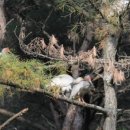 모곡마을 이미지