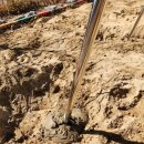 창녕성산초등학교 이미지