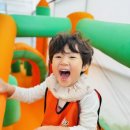 고운 농장 이미지