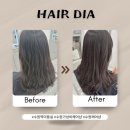 수원-0245 이미지