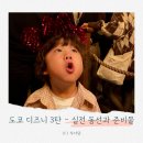 주식회사 댕아일랜드 | [도쿄 디즈니 3탄] 4살 아이랑 도쿄 여행 디즈니랜드 / 디즈니씨 뿌시기 - 실전 동선과 준비물