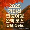 합천군청 쉼터 | 2025 가야산 단풍여행 완벽 코스｜합천 해인사·홍류동 소리길 포토 스팟 &amp; 꿀팁 총정리