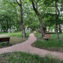 곡안공원 이미지