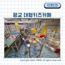 수원 광교 대형키즈카페 18개월 아기랑 갈만한곳 모모와 친구들