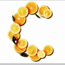 비타민 숲 이미지