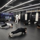 팀 해명 짐 이미지