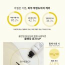 브리스윤서 이미지