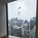 숨겨진 시청역 뷰맛집 카페 라이크디즈1601