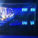 나까보까 실내낚시터 이미지