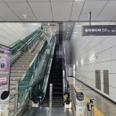 서울인마이백 이미지