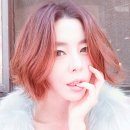 언니쓰트럭 이미지