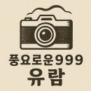 [일본 여행 준비] 오사카, 교토, 유니버설 스튜디오 재팬→ 일정 &amp; 여행지 추천, 준비물 정리