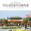 가을? 국화 축제는 어떨까? 익산천만송이국화축제 이미지