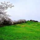 큰동산목장 이미지